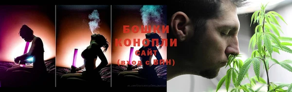 бошки Семилуки