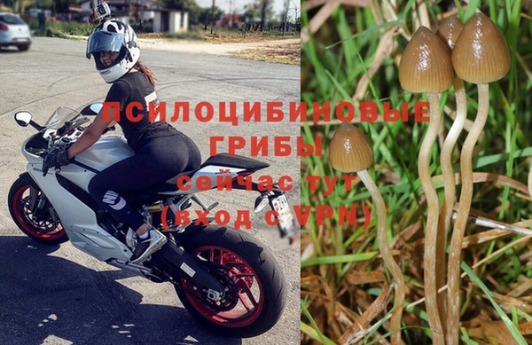 бошки Семилуки