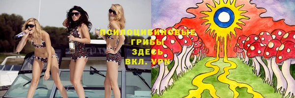 бошки Семилуки