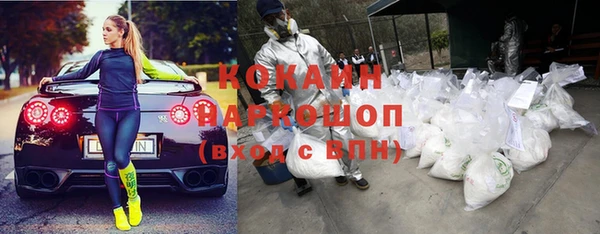 бошки Семилуки