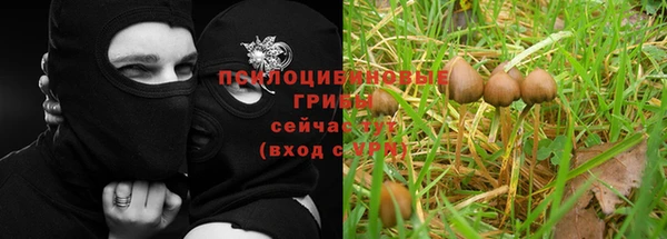 бошки Семилуки