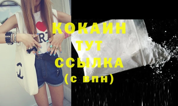 бошки Семилуки