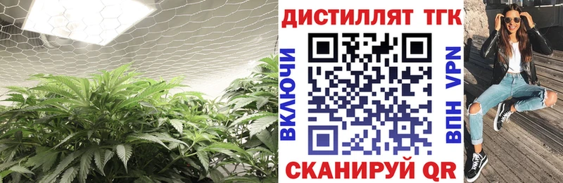 Дистиллят ТГК THC oil  Купить закладки  Прохладный 