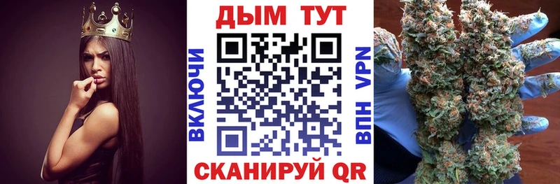 Купить где  Прохладный  Каннабис конопля 